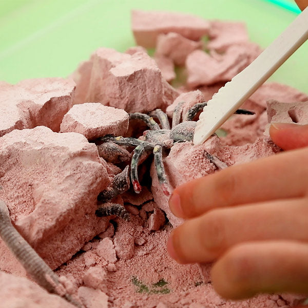 Kidz Labs Excavación De Insectos