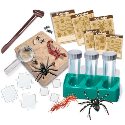 Laboratorio Excavación Creepy Crawley