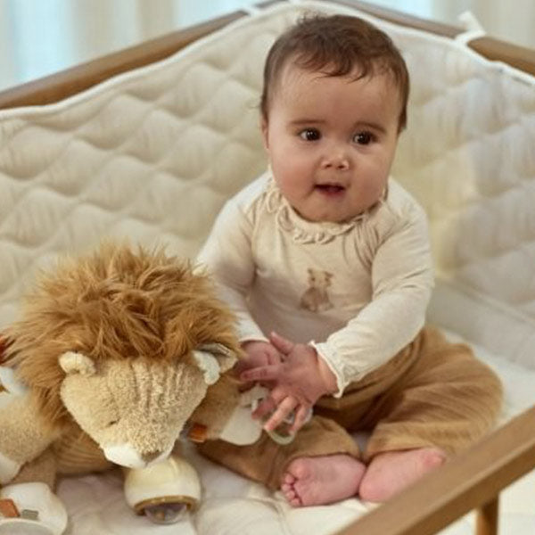 León Actividades Safari Friends Little Dutch