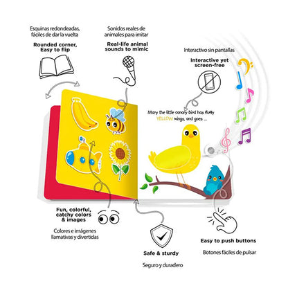 Libro Sonidos Recargable Ditty Bird Touch Colours