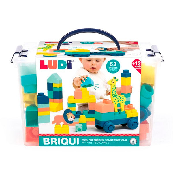 Briqui Mis Primeras Construcciones Bloques Ludi