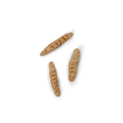 Pasta Modelar Fimo 12 Colores Básicos Casa de los Ratones