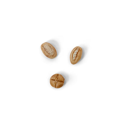 Pasta Modelar Fimo 12 Colores Básicos Casa de los Ratones