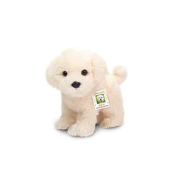 Peluche Perro Bichón Maltés 23 cm