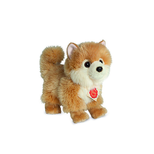Peluche Perro Pomeranian 22 cm