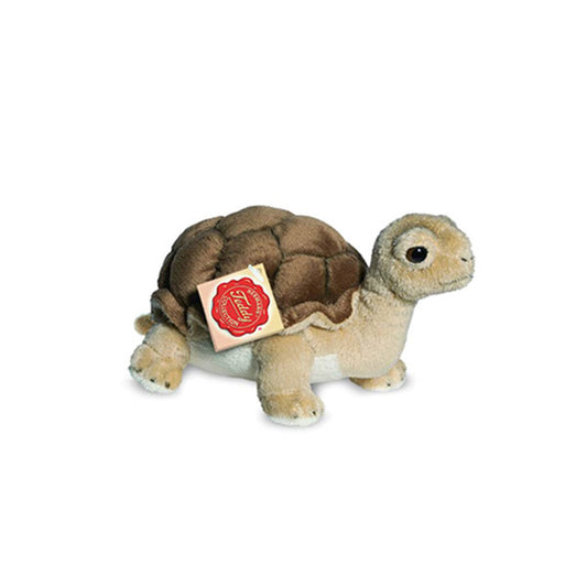 Peluche Tortuga 20 cm