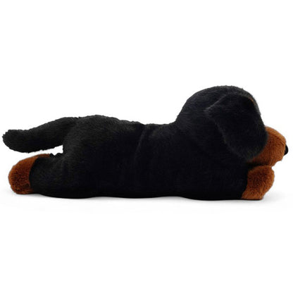 Peluche Tu Amigo Pumpkin El Teckel Tumbado