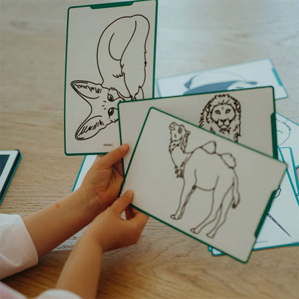 Plantillas Pizarra Mágica Kidydraw Animales del Mundo y Océanos Piratas