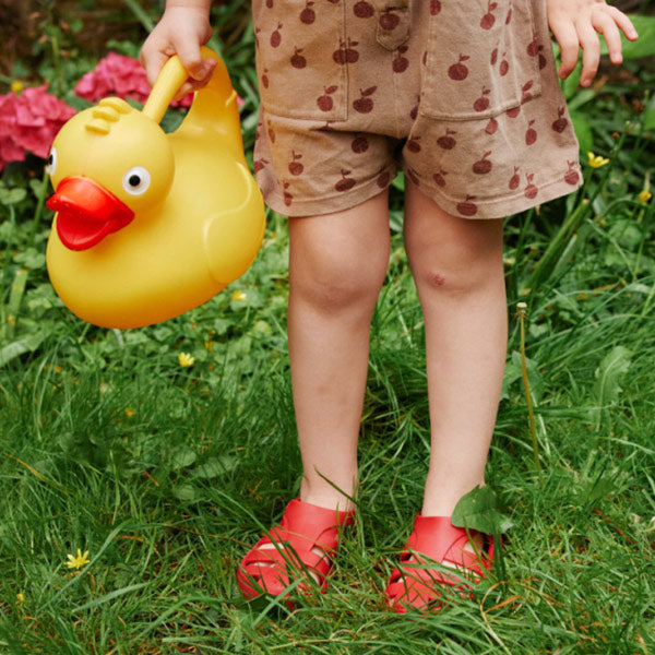 Regadera Pato