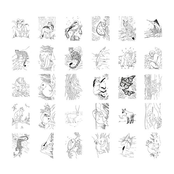 Tableta Dibujo Iluminada Pad Animales Kidydraw