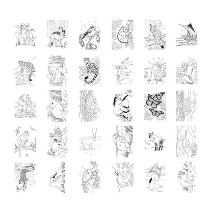 Tableta Dibujo Iluminada Pad Animales Kidydraw