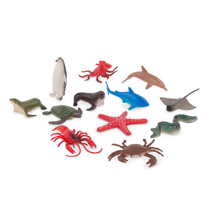 Terra Bote 60 Animales Marinos