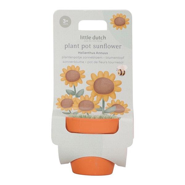 Maceta Planta Girasol Little Dutch