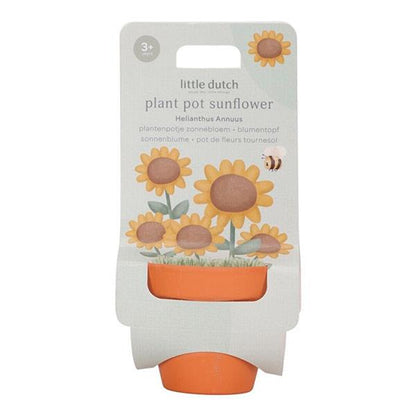 Maceta Planta Girasol Little Dutch