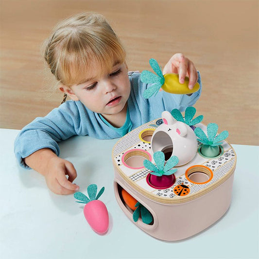 Zanahorias Encajables Colores y Tamaños TopBright