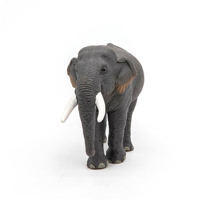 Elefante Asiático Animales Juguete Papo