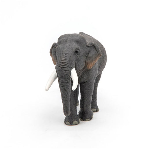 Elefante Asiático Animales Juguete Papo