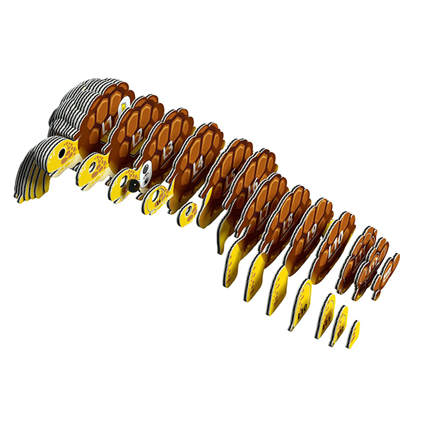 Puzzle 3D Tortoise Eugy Dodoland