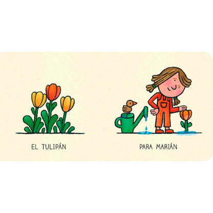 Flores