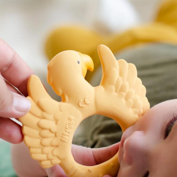 Mordedor Loro Amarillo Natruba