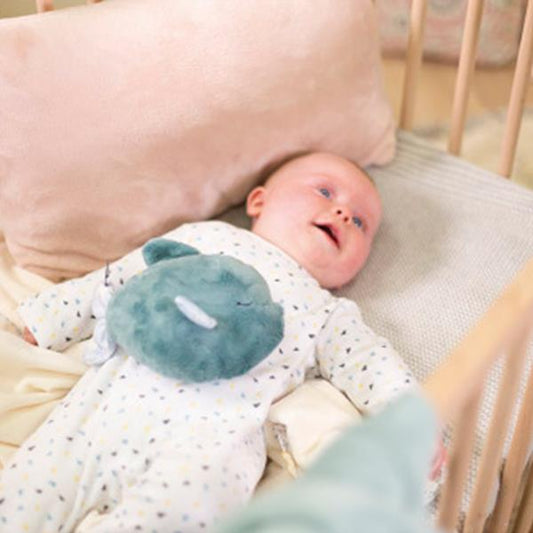 Pez de Peluche Tranquilizante Frio Calor Kaloo