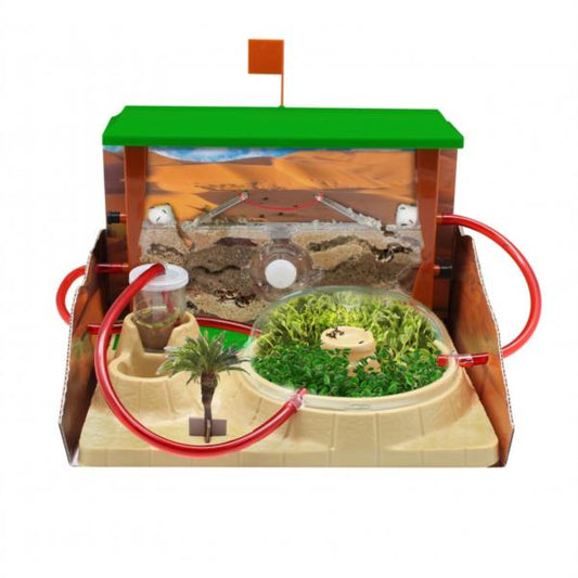 Hormicefa Plus