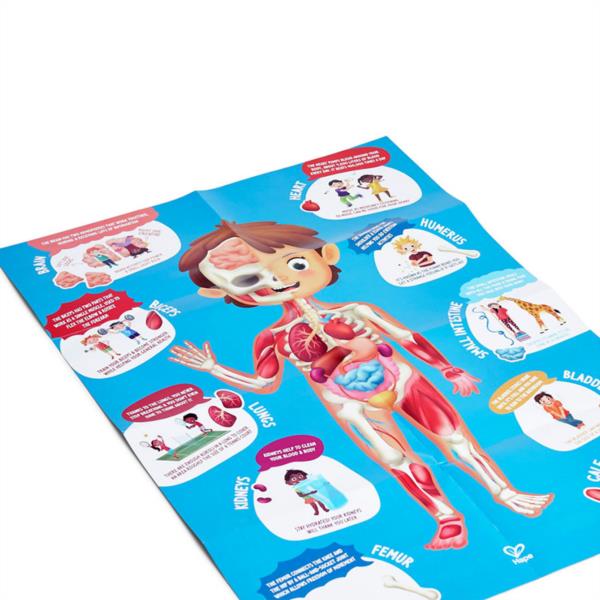 Puzle Educativo Cuerpo Humano con Órganos de Madera Hape