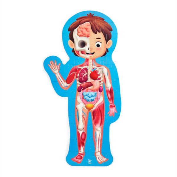 Puzle Educativo Cuerpo Humano con Órganos de Madera Hape