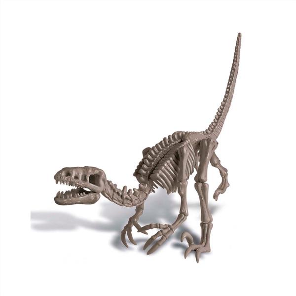 Kidzlabs Kit Geológico De Un Velociraptor