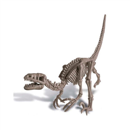 Kidzlabs Kit Geológico De Un Velociraptor