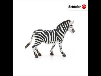 Figura Cebra Hembra Schleich Wild Life