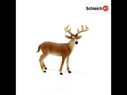 Figura Ciervo de Cola Blanca Macho Schleich Wild Life