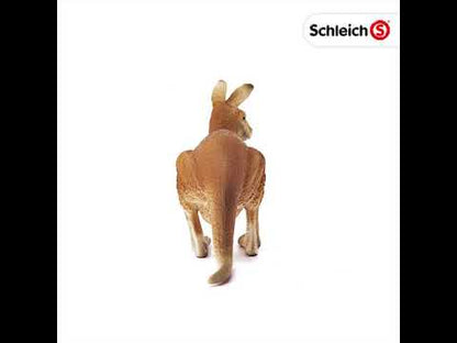 Figura Canguro Schleich Wild Life