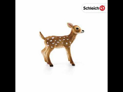 Figura Cervato de Cola Blanca Schleich Wild Life