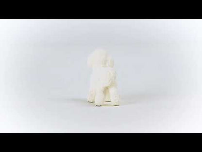 Figura Brichón Frisé Schleich Farm World