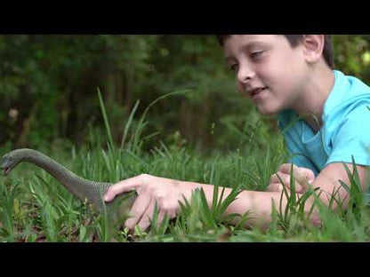 Figura Braquiosaurio Schleich Dinosaurs