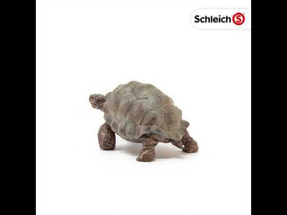 Figura Tortuga Gigante Schleich Wild Life