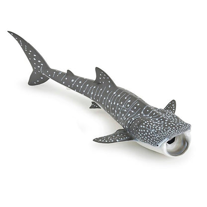 Tiburón Ballena Animal Juguete Papo
