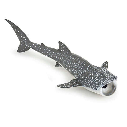 Tiburón Ballena Animal Juguete Papo